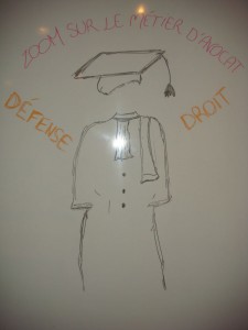 Avocat : une véritable vocation